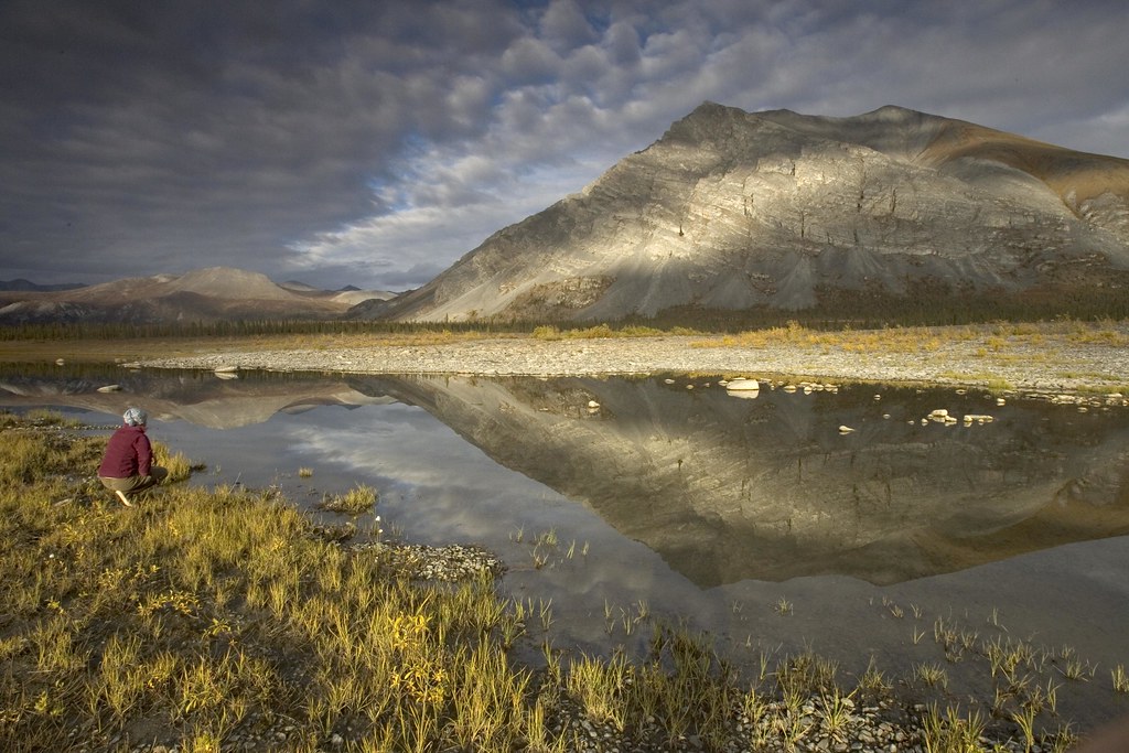 Arctic National Wildlife Refuge - Credit:Hillebrand/USFWS, Domaine public